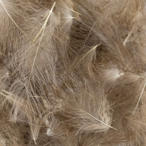 Dette Cul de Canard "CDC" Plumes