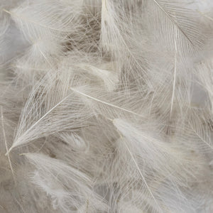 Dette Cul de Canard "CDC" Plumes