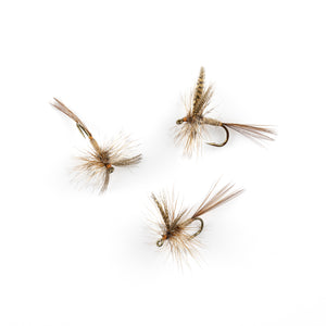 March Brown Traditional