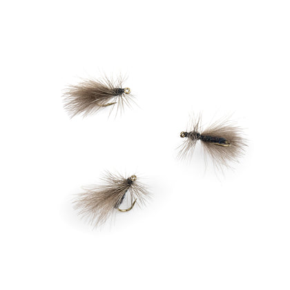 Black Stonefly CDC