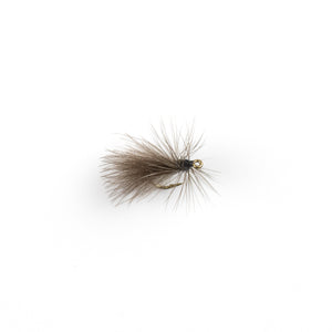 Black Stonefly CDC