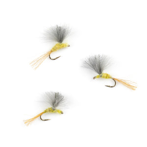 Sulphur CDC Emerger