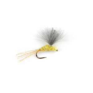 Sulphur CDC Emerger