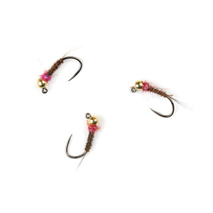 Tungsten Egan's Frenchie