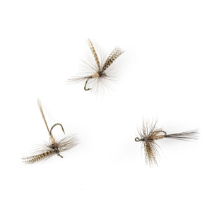 Light Hendrickson Traditional