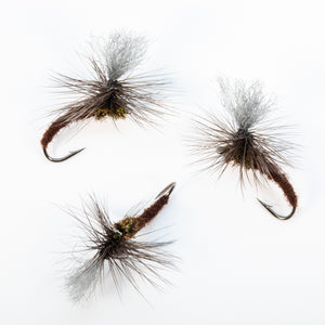 Isonychia Klinkhamer