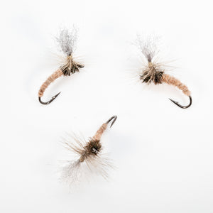 Hendrickson Klinkhamer