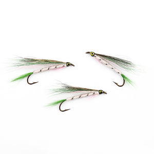 Little Rainbow Trout