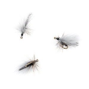 Schlotter's Little Black Stone