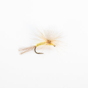 Sulphur Parachute Emerger