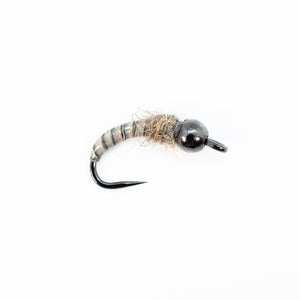 Tungsten Quill Pupa - Grey
