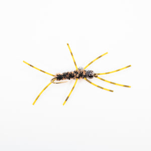 Girdle Bug Nymph (Brown)