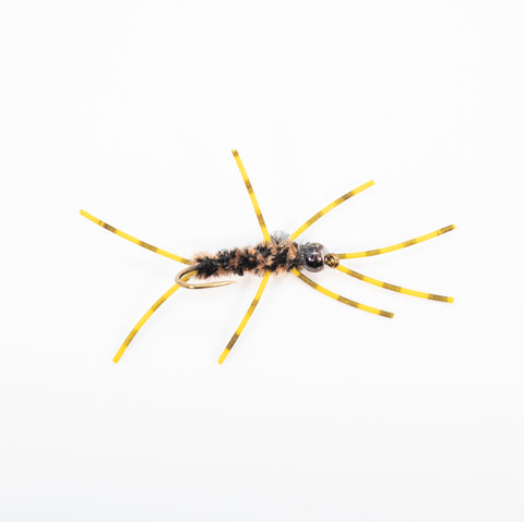 Girdle Bug Nymph (Brown)