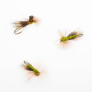 Parachute Caddis - Olive