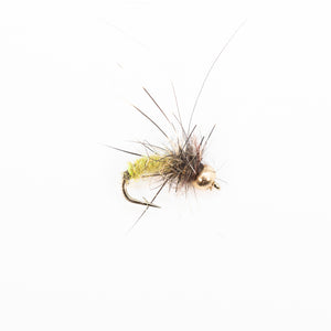 MH's Caddis Pupa Yellow/Orange