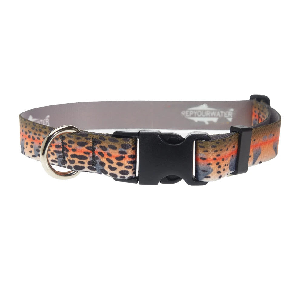 Rep Your Water Dog Collar Dette Flies