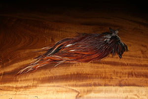 Rooster Saddle Dyed over White