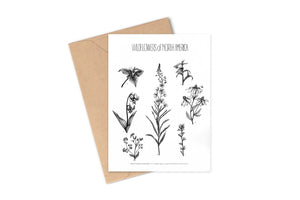 Greeting Cards By Brittany Finch