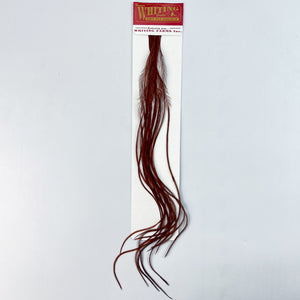 Whiting 100 Pack - Coachman Brown