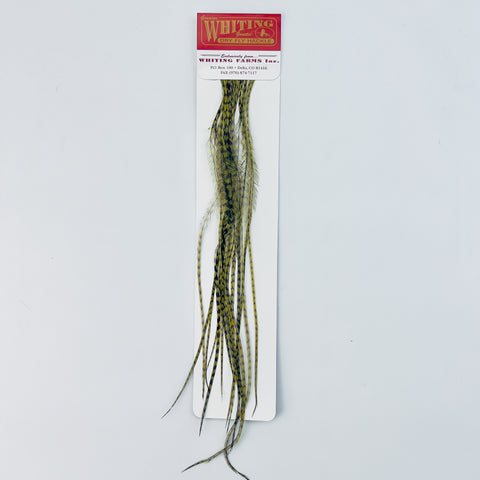 Whiting 100 Pack - Grizzly dyed Olive