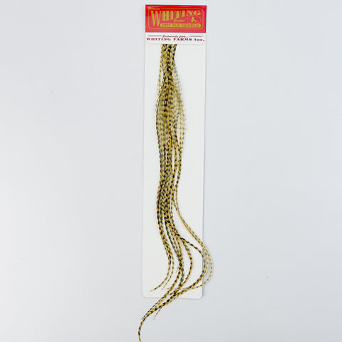 Whiting 100 Pack - Grizzly dyed Golden Straw