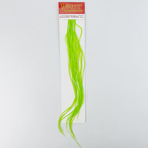 Whiting 100 Pack - Hi Vis Fl Green Chartreuse