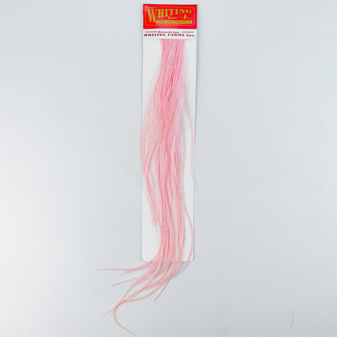 Whiting 100 Pack - Shell Pink