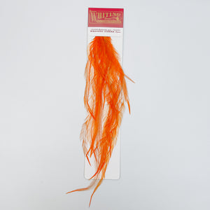 Whiting 100 Pack - Burnt Orange