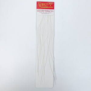 Whiting 100 Pack - White