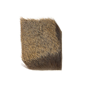 Cow Elk Backstrap Mane