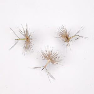 Quill Gordon Comparadun