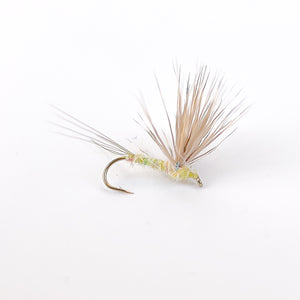 Quill Gordon Comparadun