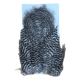 Whiting Red Label Softhackle with Chickabou