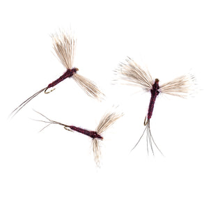 Mahogany (Isonychia) Spinner