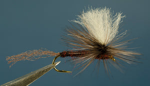 Isonychia Parachute Emerger