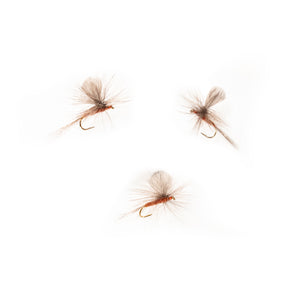 Red Quill Sailwing Parachute