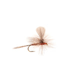 Red Quill Sailwing Parachute