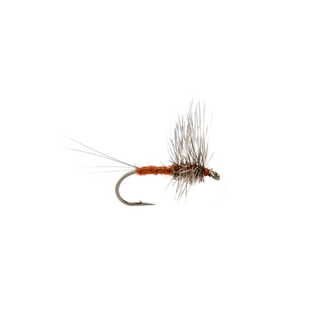 Rusty Hackle Spinner