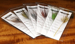 Stripped Peacock Eyes