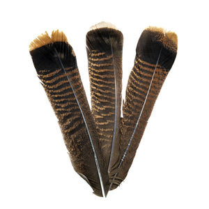 Dette Natural Wild Turkey Herl