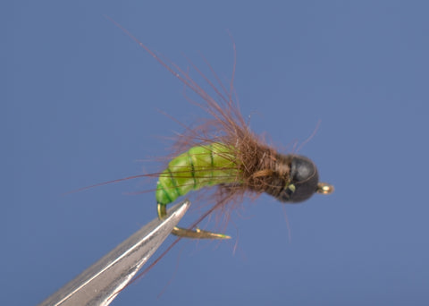 S.N.'s Green Sedge Larva, Bead Head