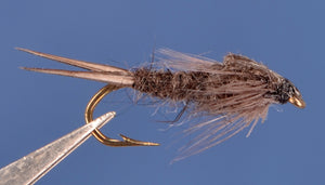 Black Stone Fly Nymph
