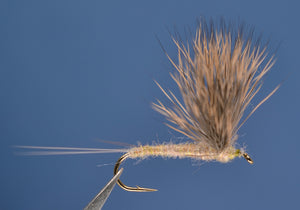 Brown Drake Comparadun