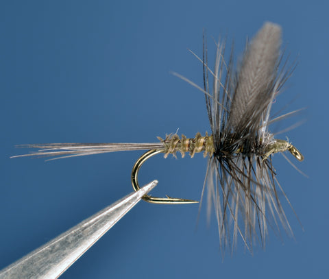 Blue Wing Olive Traditional, Biot Body