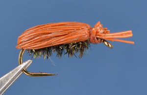 Dette Beetle - Cinnamon