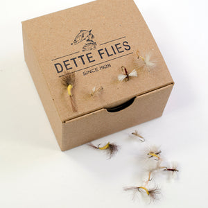 Dette Dozens - Dorotheas