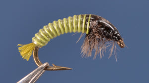 Electric Caddis - Golden Olive and Gray