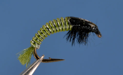Electric Caddis - Olive and Black