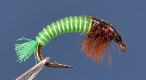 Electric Caddis - Chartreuse and Brown