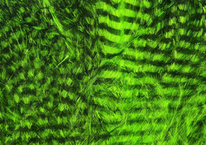 Fine Black Barred Marabou Feathers